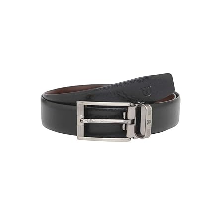 titan reversible belt