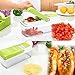 Richday Vegetable Cutter 10 in 1 King Mandolin Chopper with Interchangeable 7 Stainless Steel Blades