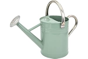 Lechloris Metal Watering Can for Outdoor Plants, Galvanized Steel Watering Can with Removable spout, 1 Gallon,Perfect Home & Garden Décor Cream Green