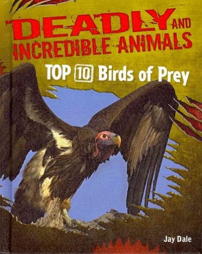 Top 10 Birds of Prey (Deadly and Incredible Animals)