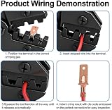 Heschen 6.3mm Non-Insulated Male Spade Crimp Terminals Connectors 100 pcs view 4