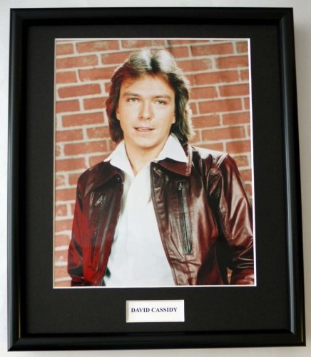 DAVID CASSIDY/PHOTO FRAMED