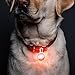 PGXT Pet Cat Dog Collar Light, Safety LED Lights for Dog Collar Waterproof, Upgraded Dog Night Walking Lights with 4 Flashing Modes 6 Extra Batteries - 6 Pack