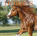 Horses 2014 Mini Calendar
