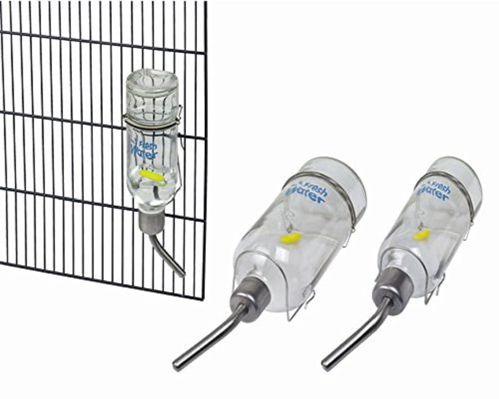 Nobby Glass Drinking Bottle, 177 ml