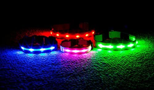 Wagz4life - Safety LED Dog Collar - Rechargeable - Water Resistant - Light Up or Flashing - Highest Quality - High Visibility - Looks Awesome - Includes USB Charger (XXL, Blue)