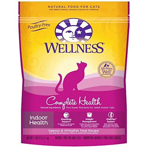 wellness complete health indoor cat food