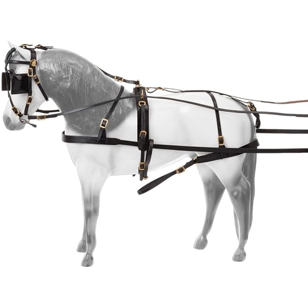 Amazon.com: Tough 1 Leather Harness, Horse , Black : Pet Supplies