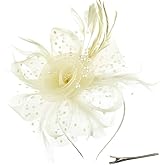 DRESHOW Fascinators Hat Flower Mesh Ribbons Feathers on a Headband and a Clip Tea Party Headwear for Girls and Women