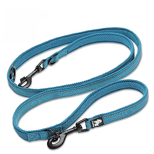 WINHYEPET True Love 7 In 1 Multi-Function Adjustable Dog Lead Hand Free Pet Training Leash Nylon Reflective Comfortable Multi-Purpose Dog Leash TLL2411(Blue,S)