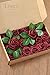 Ling's moment Artificial Flowers Burgundy Rose Buds and Small Roses w/Stem for DIY Wedding Bouquets Centerpieces Arrangements Party Baby Shower Home Decorations