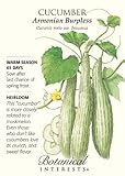 Armenian Burpless Cucumber Seeds - 2 grams - Botanical Interests