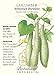 Armenian Burpless Cucumber Seeds - 2 grams - Botanical Interests