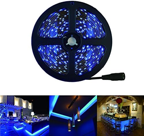 RoLightic Flexible LED Strip - Blue Color SMD 3528 with 300LEDs,16.4 Ft / Roll,12V DC,Indoor IP44 Non-Waterproof,LED Tape Light