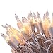 LIDORE 100 Counts Bright Clear Mini Christmas Tree Lights. White Wire String Light for Decoration. End to End Connection primary