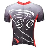 Paladin Cycling Jersey for Men Short Sleeve Lion Pattern Bike Shirt