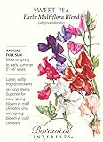 Early Multiflora Blend Sweet Pea Seeds - 3 grams