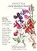 Early Multiflora Blend Sweet Pea Seeds - 3 grams