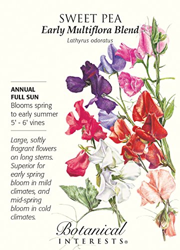 Early Multiflora Blend Sweet Pea Seeds - 3 grams Early Multiflora Blend Sweet Pea Seeds - 3 grams