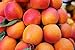 Mrs. Miller's Amish Homemade Apricot Jam 18 oz/509g - 2 Jars