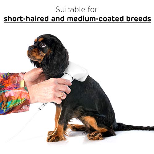 iPettie Pet Hair Dryer with Slicker Brush, Quiet, 2 Heat Settings
