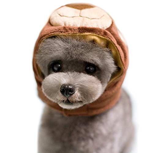 Alfie Pet by Petoga Couture - Qeno Bear Hat for Party Halloween Special Events Costume (for Small Dogs & Cats)