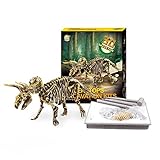 Dinosaur Excavations Kits – Unearth 3D Dinosaur Bones - Triceratops
