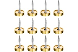Fuyamp 12 Pcs Stainless Mirror Screws Decorative Caps Cover 0.63"/16mm Gold Screws Caps in Chrome Cover Nails Decorative Nail Caps Advertising Mirror Fasteners Cover Sign Advertising Hardware