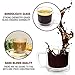 15 oz Glass Coffee Mugs - Set of 2 - Clear Double Wall Glasses - Insulated Glassware With Handle - Large Espresso Latte Cappuccino or Tea Cup by Eparé