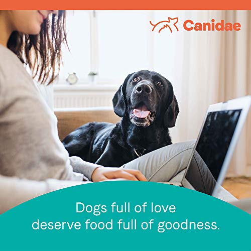 Canidae PURE Grain Free, Limited Ingredient Dry Dog Food, Bison, Lentil