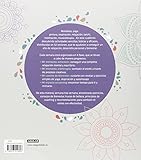 Image de Un año sin estrés (Spanish Edition)