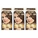 L'Oreal Paris Superior Preference Fade-Defying + Shine Permanent Hair Color, 6 Light Brown, Pack of 3, Hair Dye