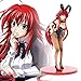 Z&I Exquisite Life High School D×D Adult Toy School DxD Bunny Girls Rias Gremory Himejima Akeno Girls Anime PVC Action Figures Toys Anime Figure