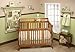 Little Bedding by NoJo Dreamland Teddy Uni 10 Piece Crib Bedding Set