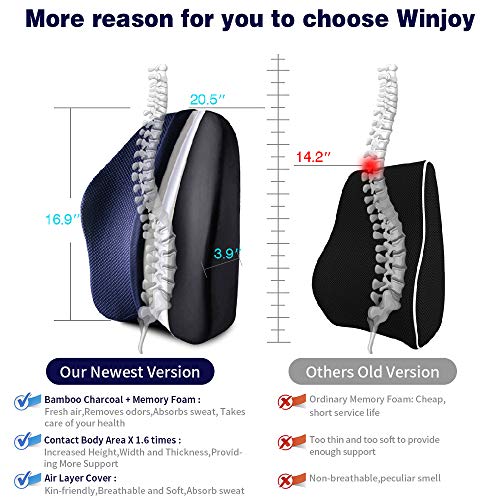 Winjoy Ergonomic Lumbar Support Pillow, 100% Pure Memory Foam Back Cushion with Breathable 3D Back Pillow Design for Lower Back Pain Relief,Durable Adjustable Straps for Chair/Recliner/Car Seat