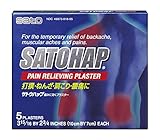 Satohap Medicated Pain Pad in Regular Size, 5 Count