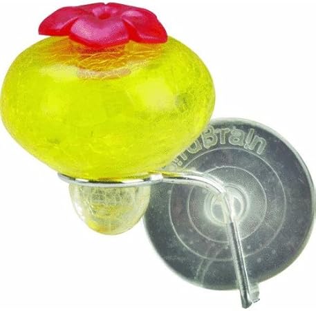 Amazon Com Bird Brain Inc 15619 Glass Window Hummingbird Feeder