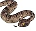 Safari Ltd Incredible Creatures Sidewinder Rattlesnake