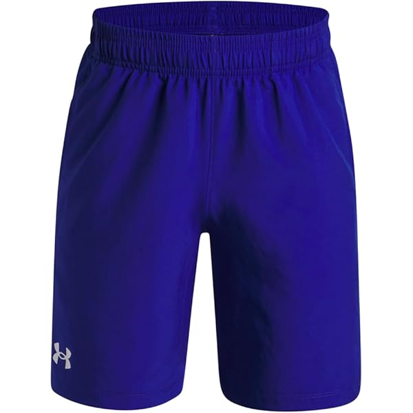 Under Armour Men's Project Rock Mesh Printed Shorts L Blue at