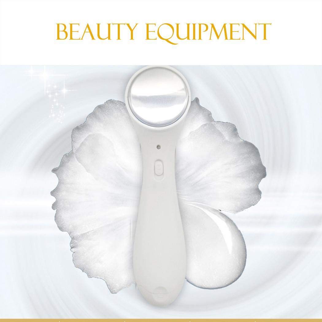 Vividy Electric Ion Facial Beauty Device Skin Care Face Cleaner Massage Facial Cleansing Devices