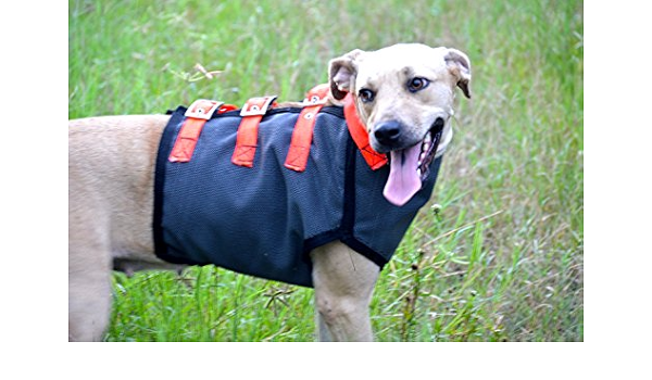 hunting dog vests amazon