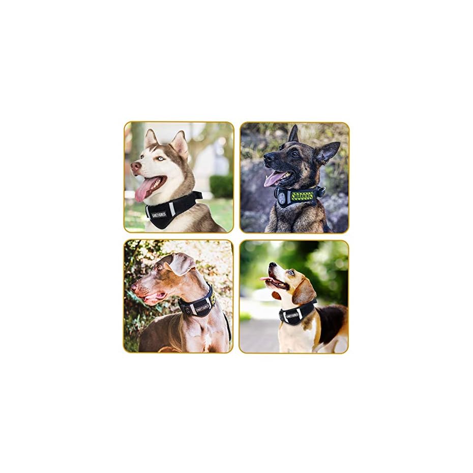 Verstellbare Hundehalsband 07 Weiches Hundehalsband mit