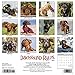 Dachshund Rules 2020 Wall Calendar (Dog Breed Calendar)