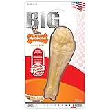 Nylabone Big Chew Durable Toy Bone for Large Breeds