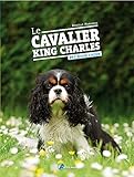 Le Cavalier King Charles by 