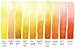 Daniel Smith Extra Fine Watercolor 15ml Paint Tube, Indian Yellow (284600045)