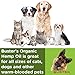 (2 Pack 30,000 MG) Buster's Organic Hemp Oil for Dogs & Cats - Max Potency - Grown & Made in USA - Omega Rich 3, 6 & 9 - Supports Hip & Joint Health, Natural Relief for Pain, Separation Anxiety