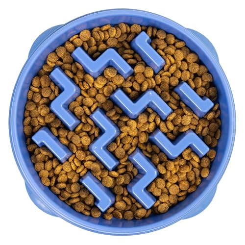 Outward Hound Slow Feeder Dog Bowl, Large, Blue