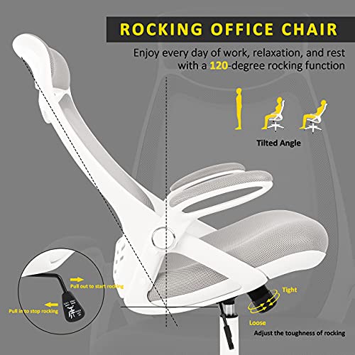 HYLONE Ergonomic Office Desk Chair, HighBack Mesh Computer Chair with