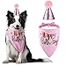 Blaoicni Dog Birthday Bandana Hat Scarf Party Supplies (Pink-Girl)